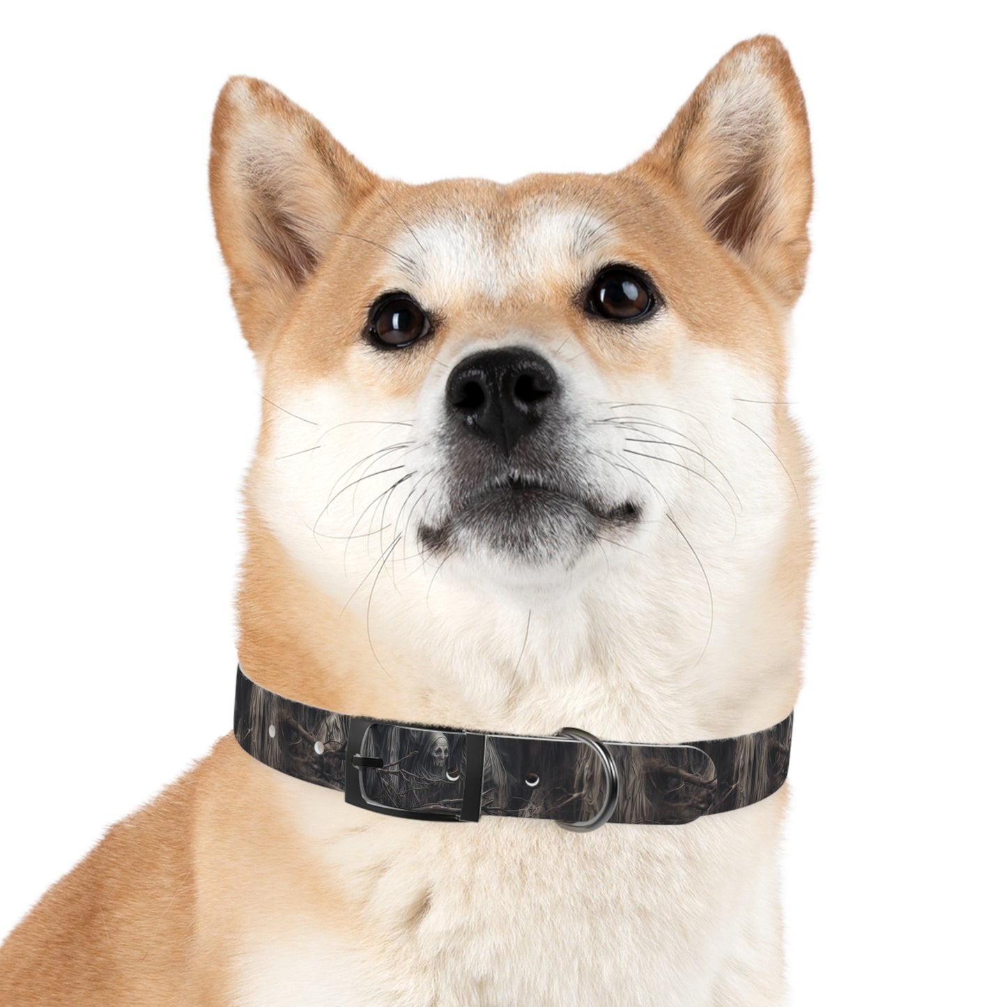 DCS Essentials - Autumn Apparitions Dog Collar - v23.1