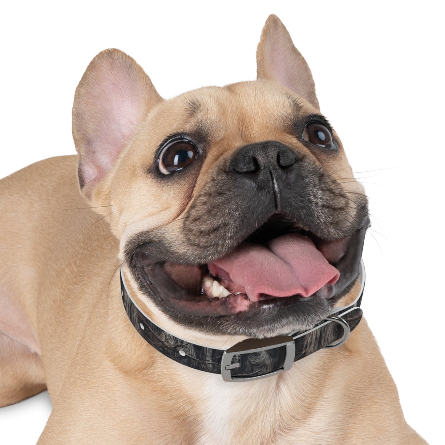 DCS Essentials - Autumn Apparitions Dog Collar - v23.1