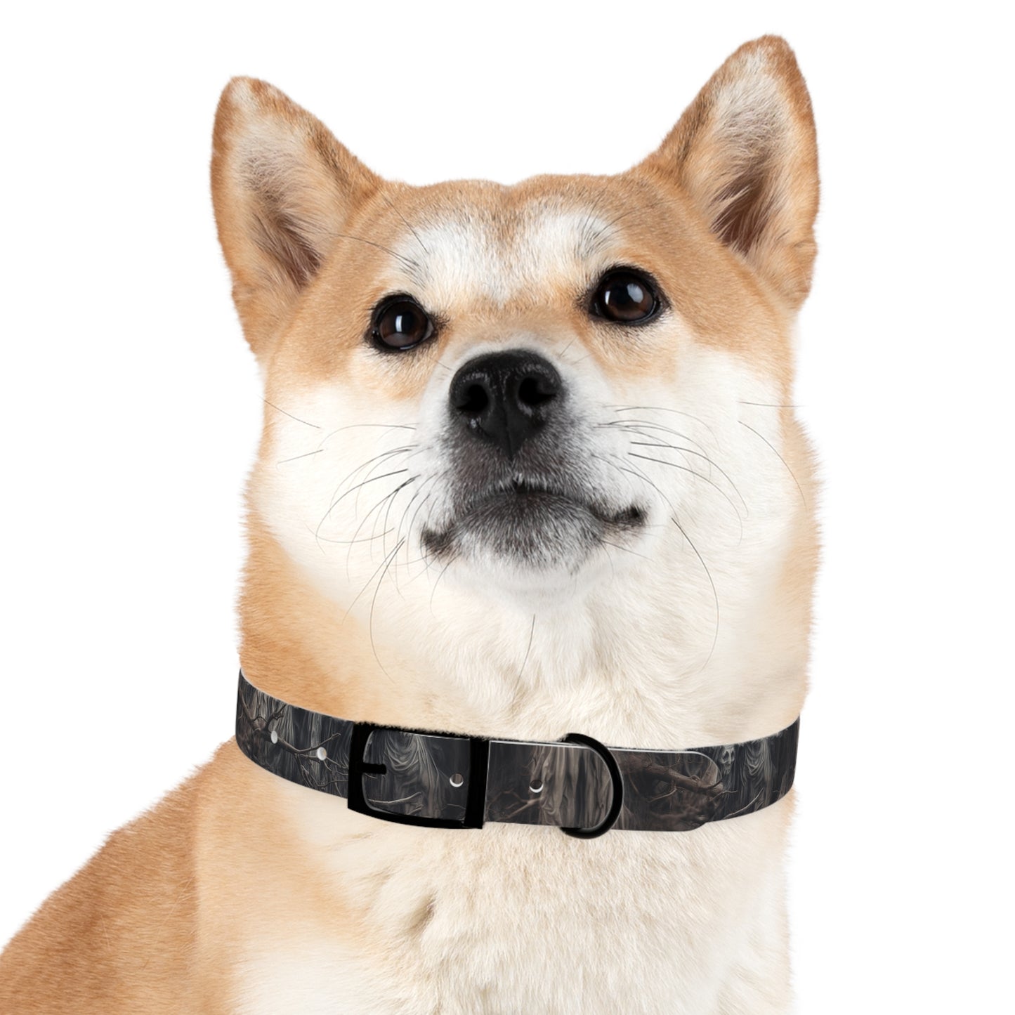 DCS Essentials - Autumn Apparitions Dog Collar - v23.1