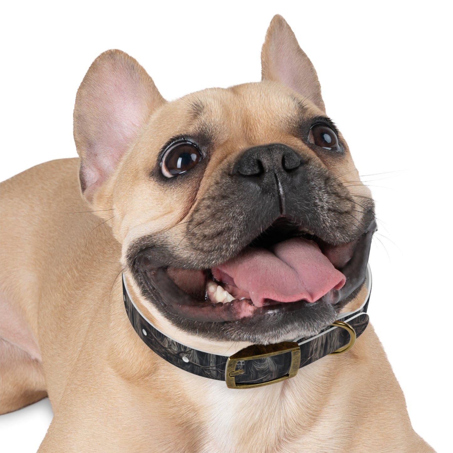 DCS Essentials - Autumn Apparitions Dog Collar - v23.1