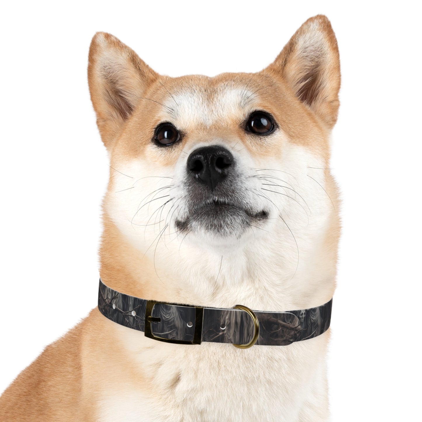 DCS Essentials - Autumn Apparitions Dog Collar - v23.1